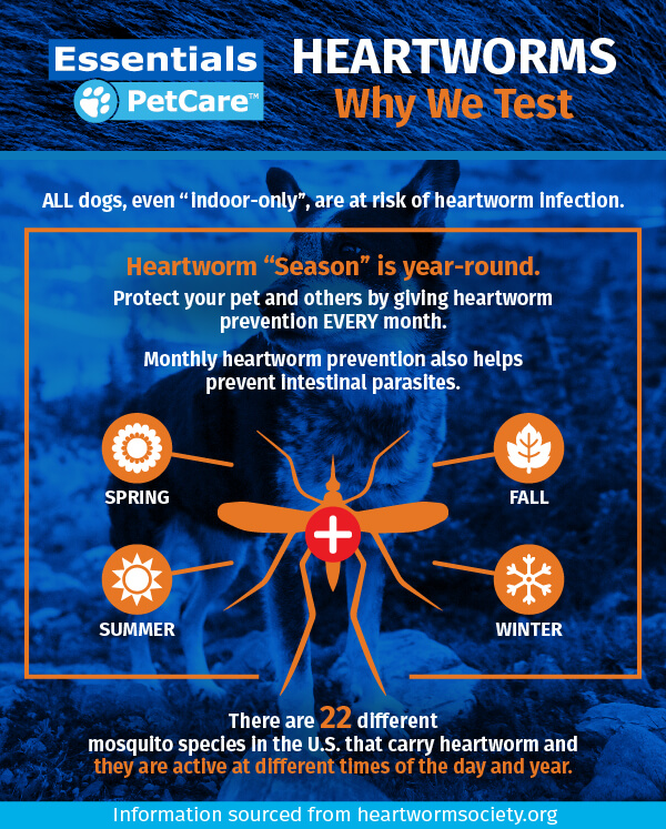 We heartworm tests every 6 months Essentials PetCare
