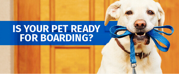 Is Your Pet Ready For Boarding?