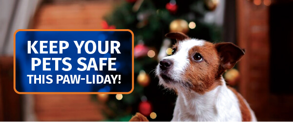 Keep Your Pets Safe This Paw-liday