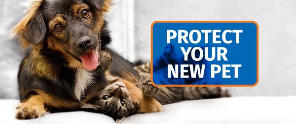 New Year, New Pet? We Have Vaccines!