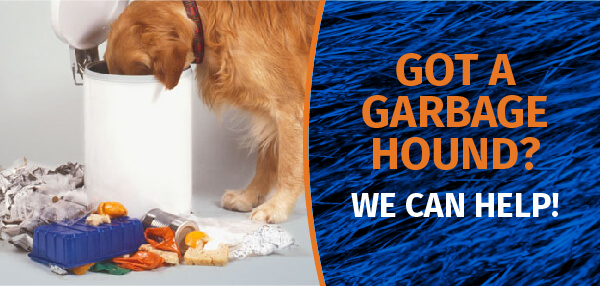 Got a Garbage Hound? We Can Help!
