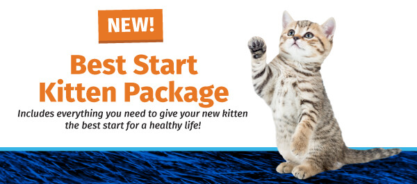 Best Start Kitten Package