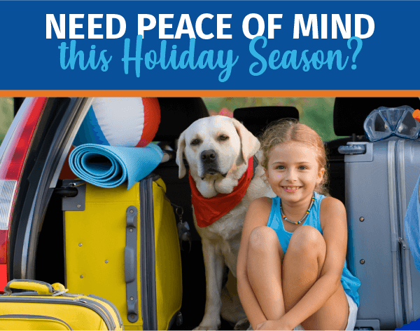 3 Tips for Pet Holiday Travel