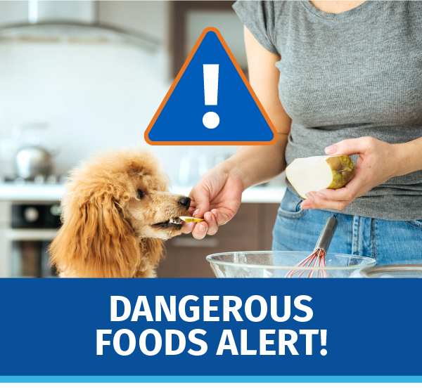 ¡Alerta de alimentos peligrosos!