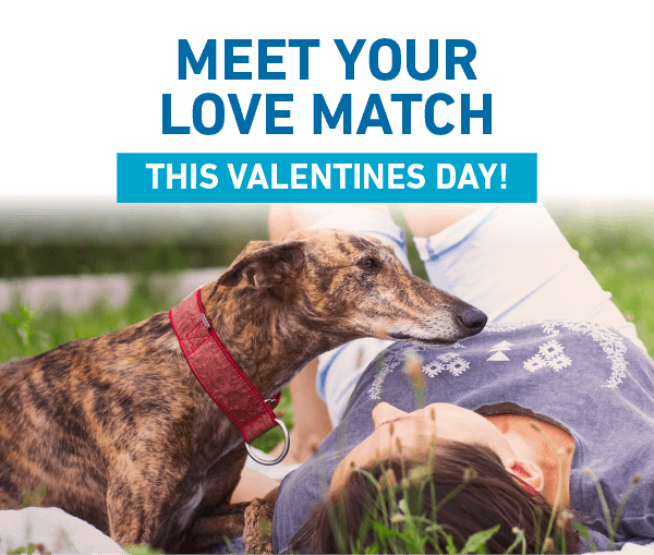 “Meet Your Love Match” this Valentine’s Day!