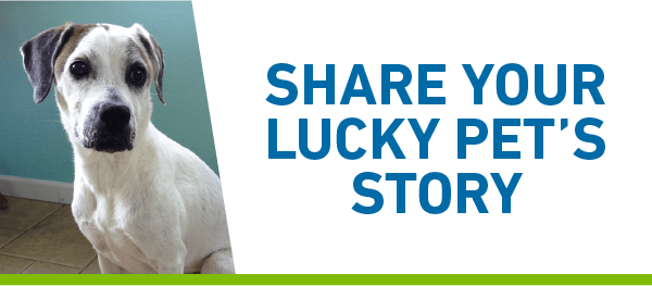 Share Your Lucky Pet’s Story