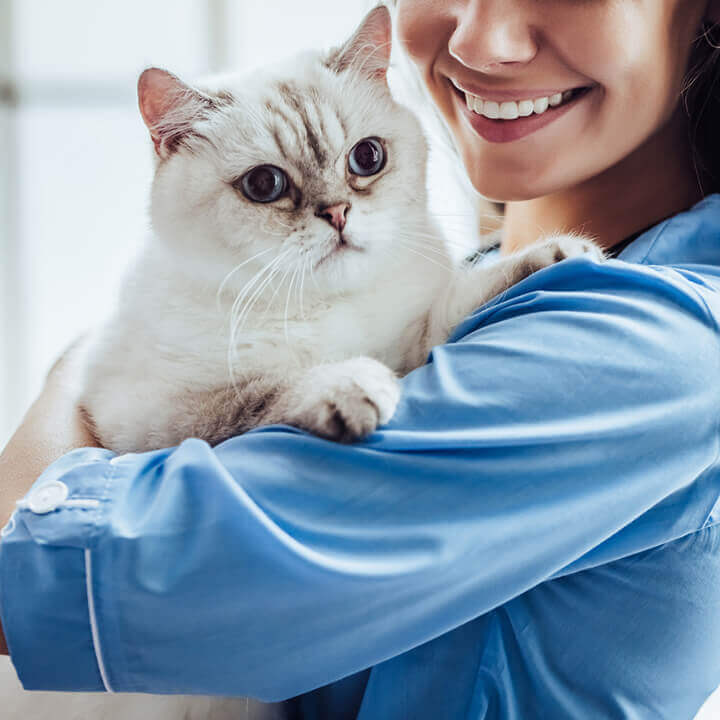 Vet holding a cat