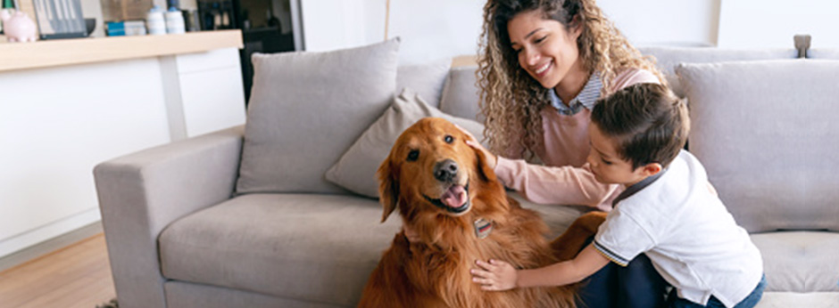 Three reasons why every mom should adopt a family pet