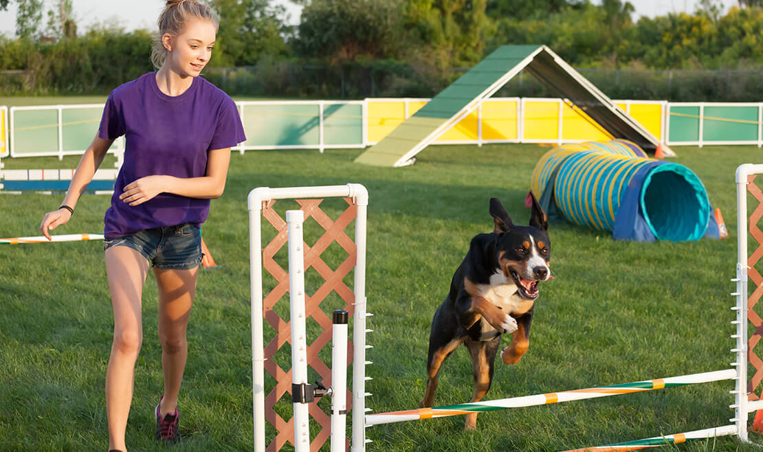 Looking for a fun activity for you and your best friend? Try agility!