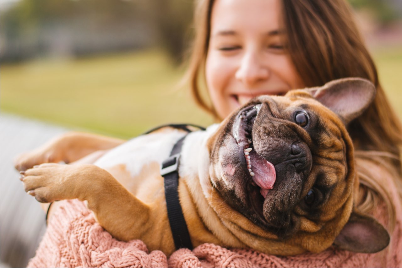 "Today's Veterinary Business" enumera Essentials PetCare entre las asociaciones de Walmart para expandir los servicios para mascotas
