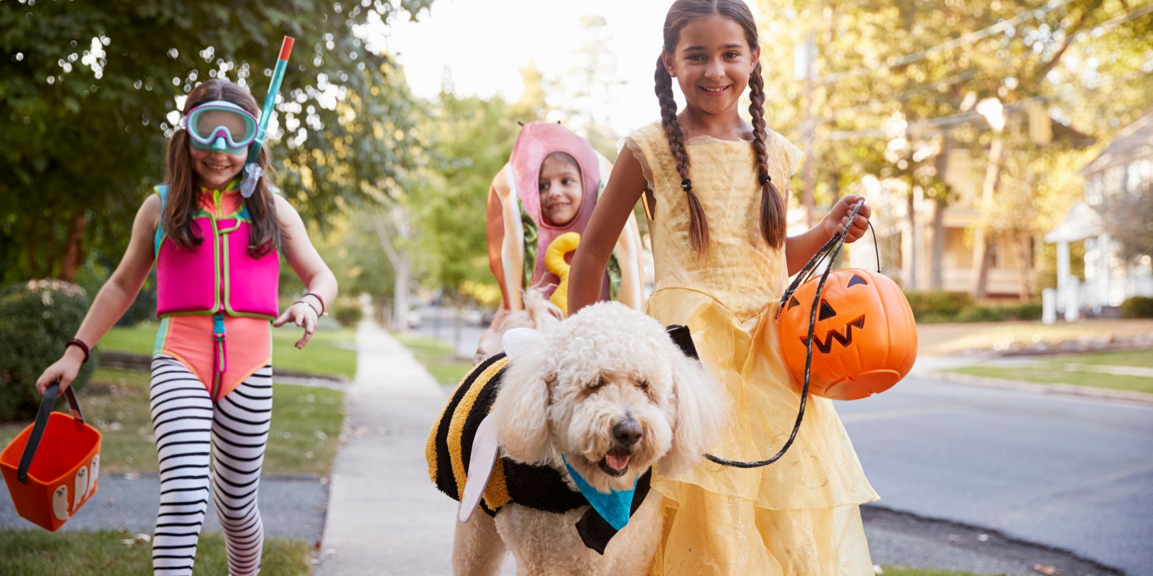 Include Your Pet in the Halloween Fun!