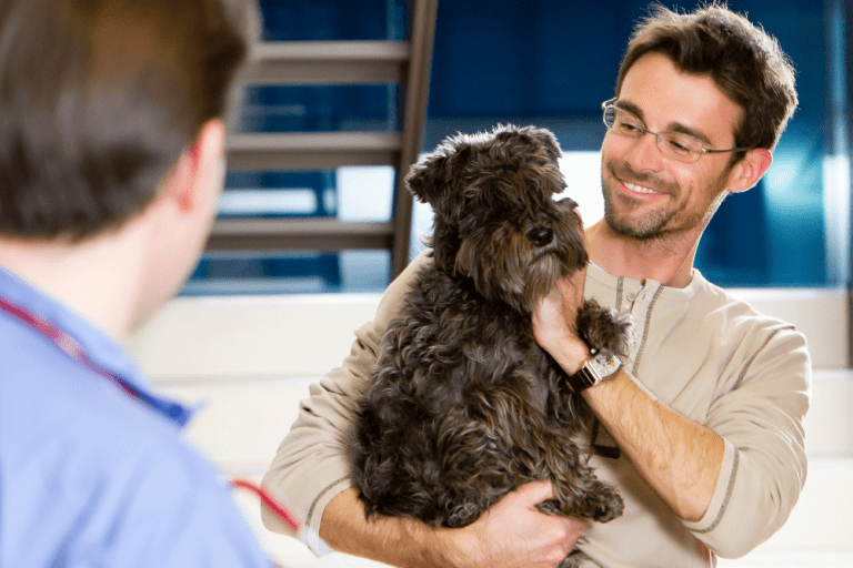 why-dogs-need-the-bordetella-vaccine