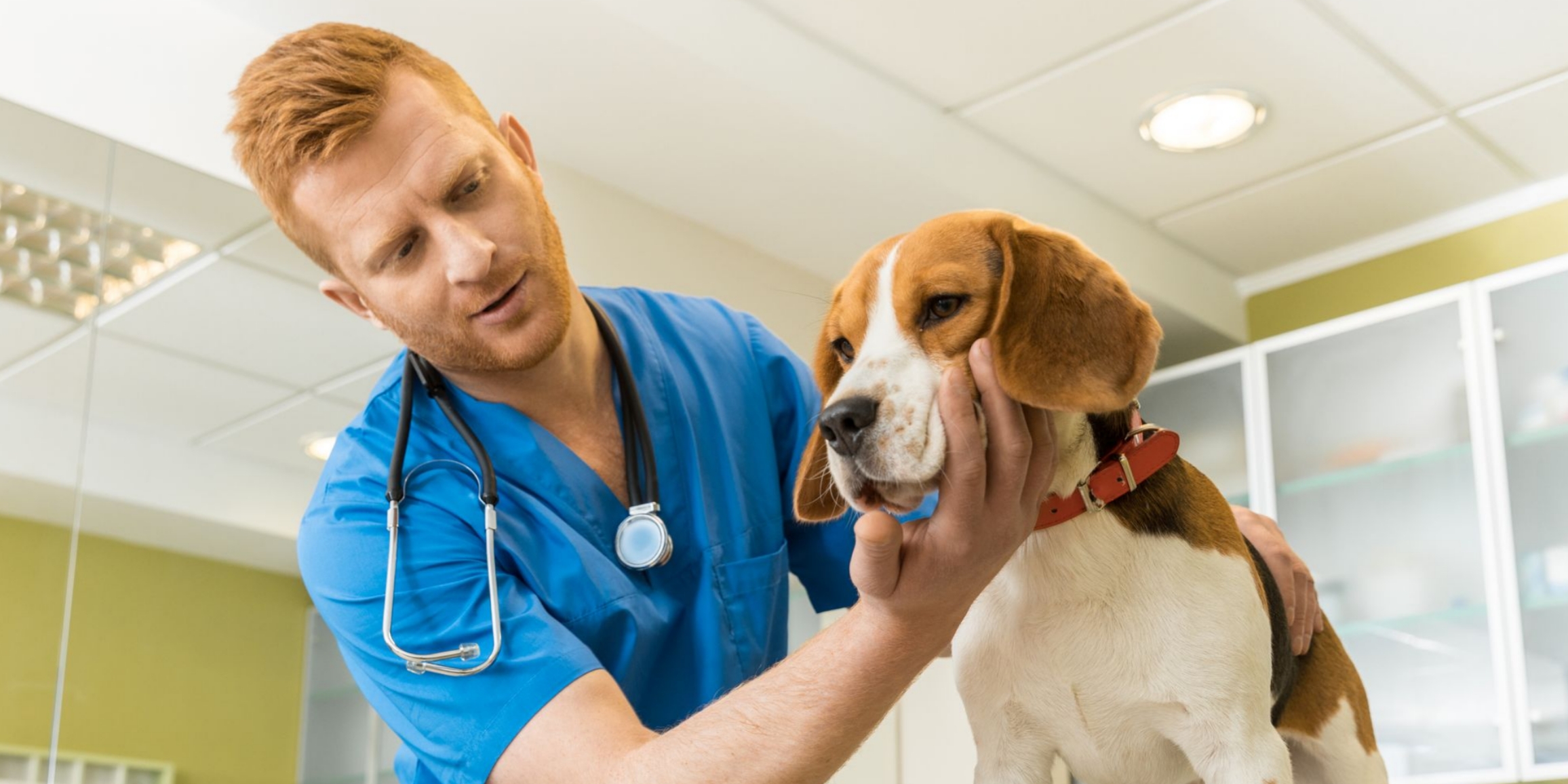 Essentials PetCare Highlights Its ‘Sunny Side of Veterinary Medicine’ Career Opportunities at VMX 2022 in Orlando