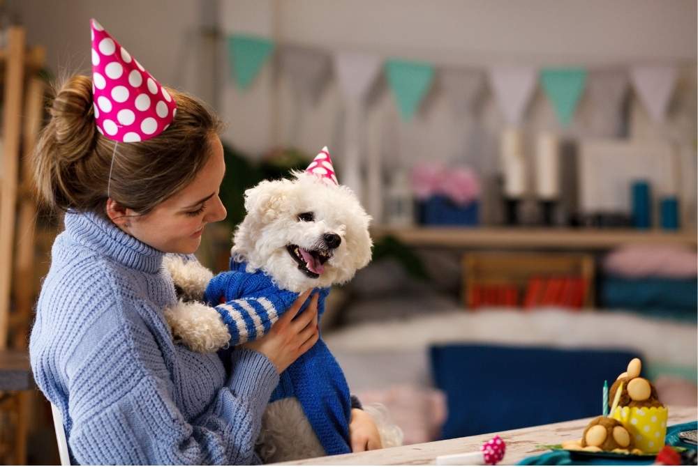 Ropa de cumpleaños para perros? Qué hacer y qué no hacer al vestir a tu  cachorro
