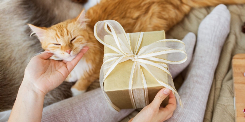 Gifts for Pet Moms 