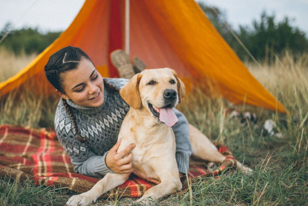 How to Go Camping with Your Dog – and Love It!