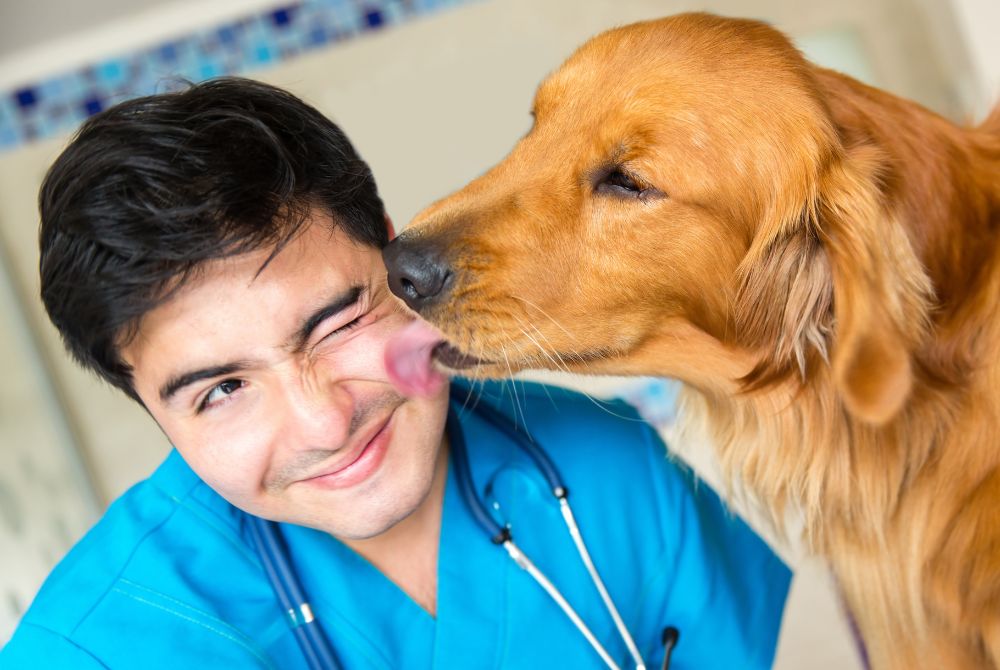 Expanding Your Veterinary Practice: 4 Reasons Why You Should Open a Satellite Clinic