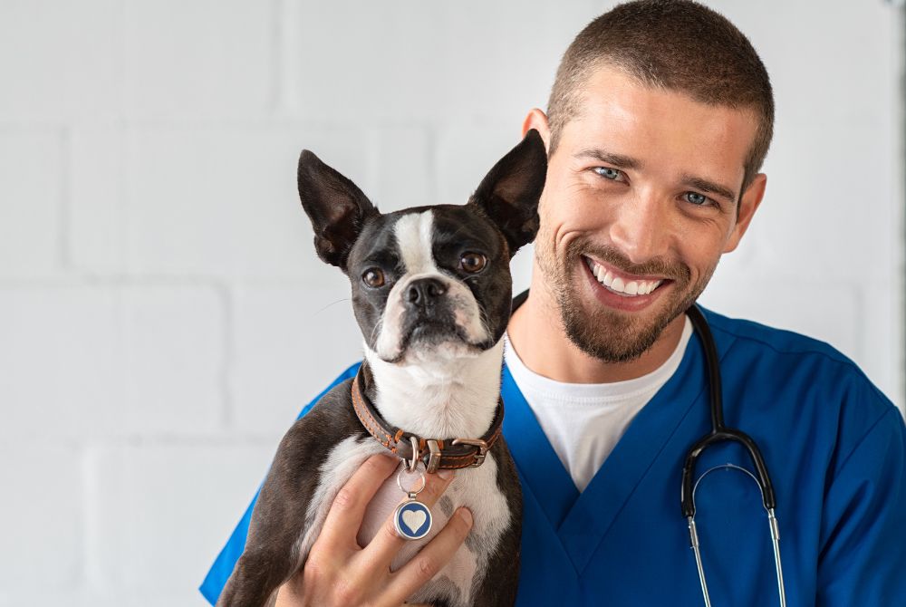 Strategic Veterinary Practice Purchase: Expand the Market by Reaching the Underserved