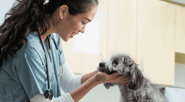White Paper: Redefining Veterinary Practice Efficiencies 