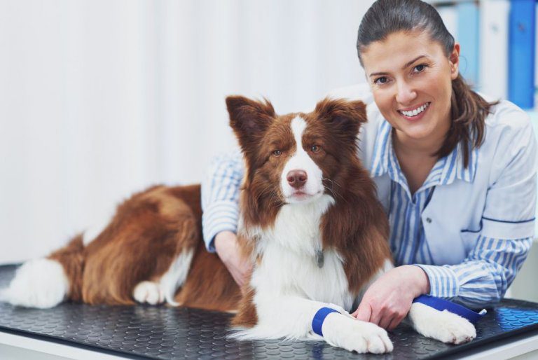 Reduce Turnover Related to Burnout